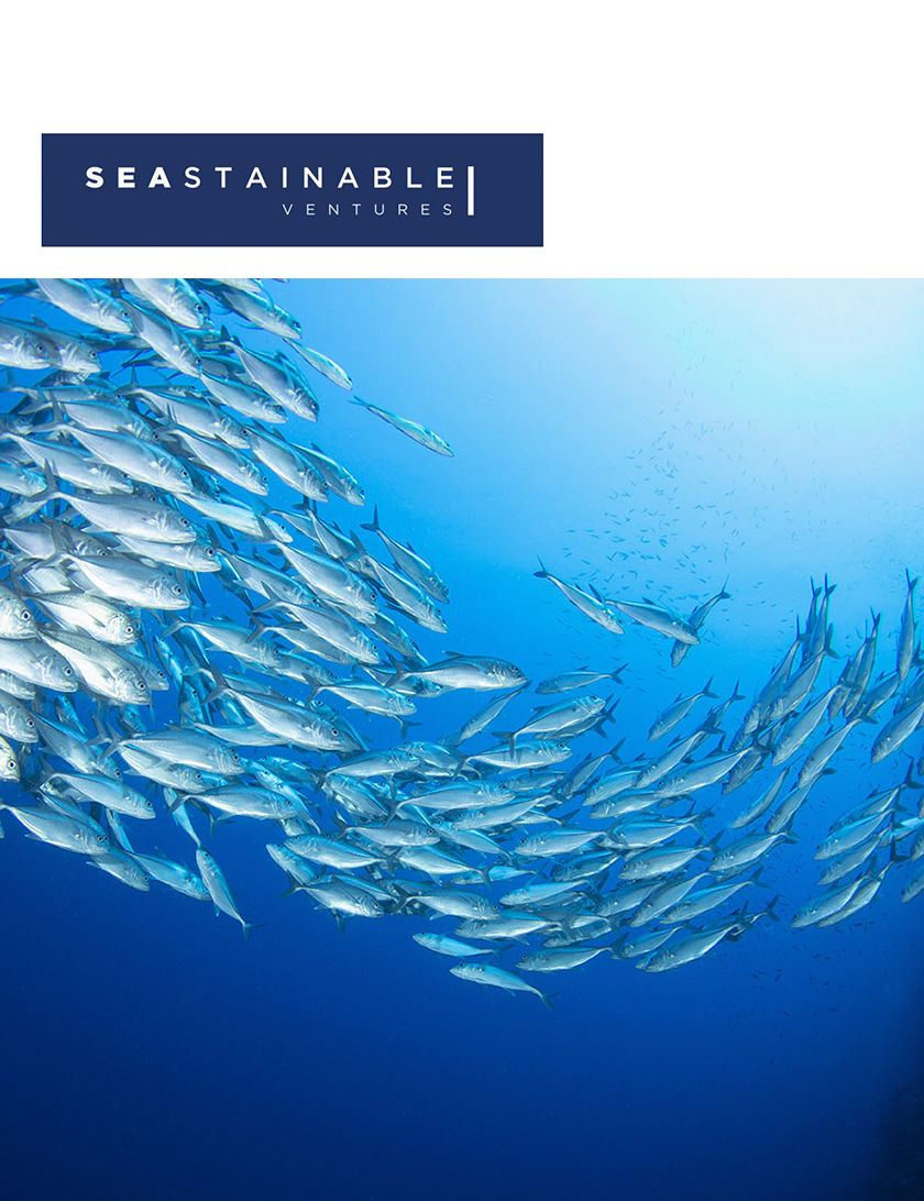 Seastainable Ventures